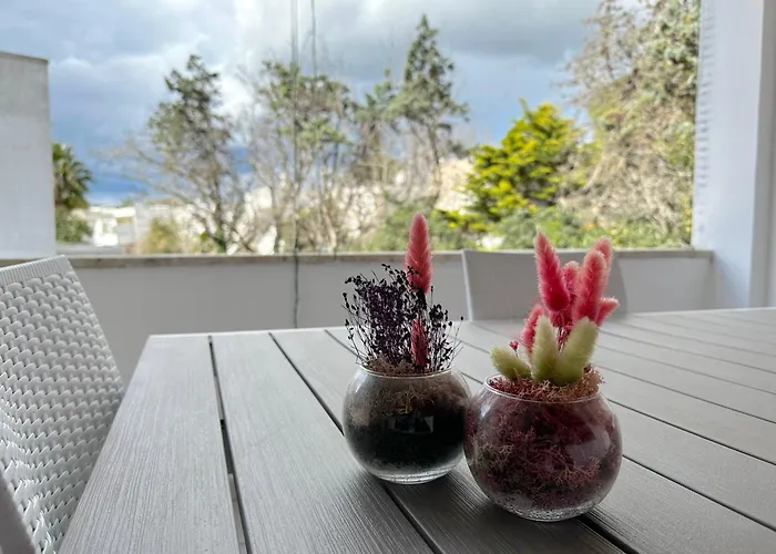 Kali - Baia ガリポリ